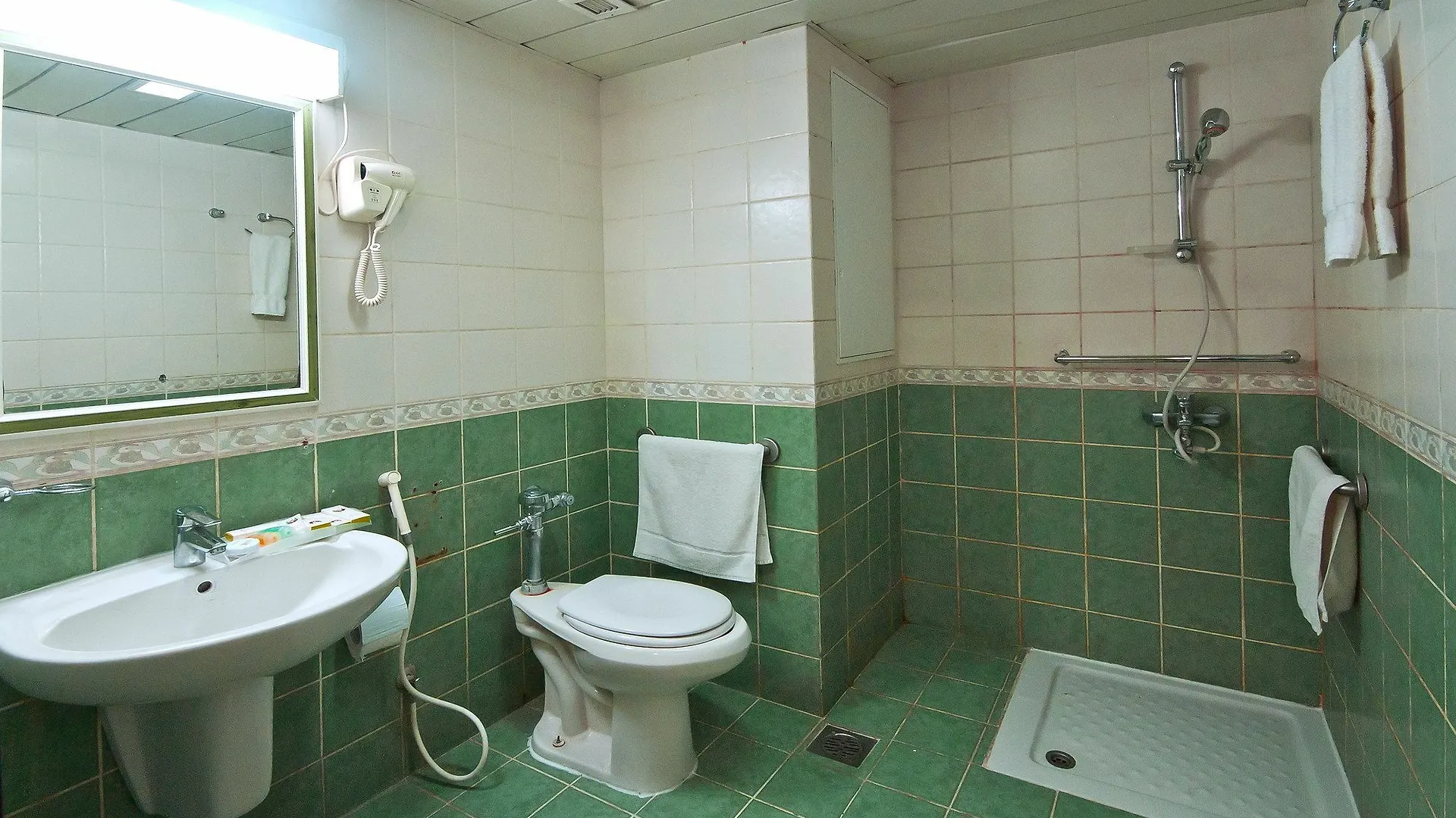 Hotel فندق ديار المدينة Medina
